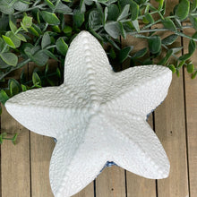 Load image into Gallery viewer, Sea Star Covered Dish
