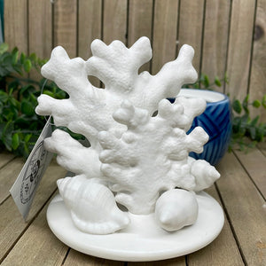 Coral Dish