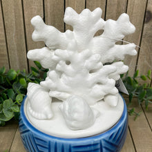 Load image into Gallery viewer, Coral Dish

