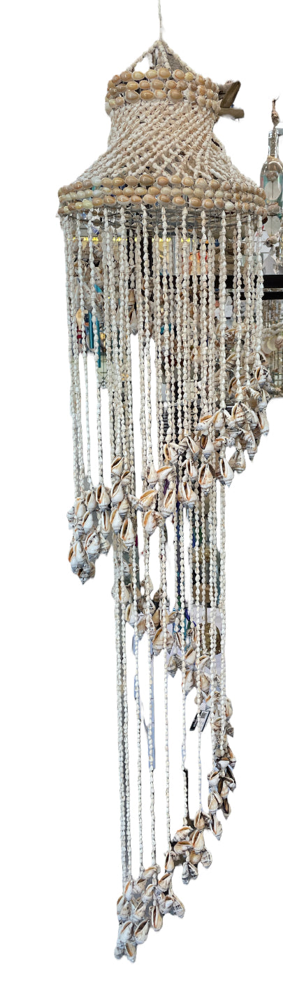 Shell Chandelier