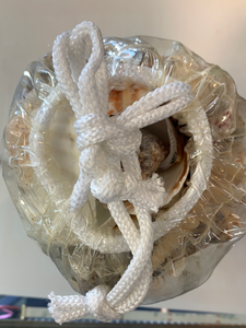 Bag of shells