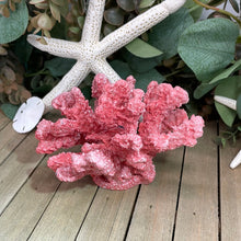 Load image into Gallery viewer, Small RSN Coral Bunch
