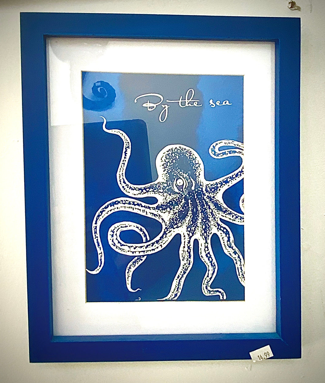 Blue Frame Sea life