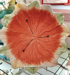 Hibiscus  collection