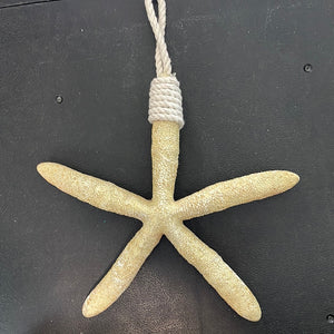 Starfish hanger