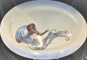 Jellyfish Platter